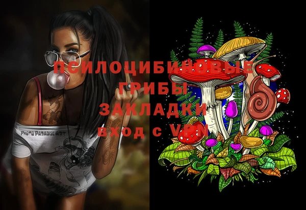 спайс Арсеньев