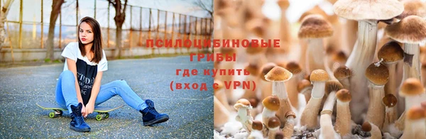 спайс Арсеньев