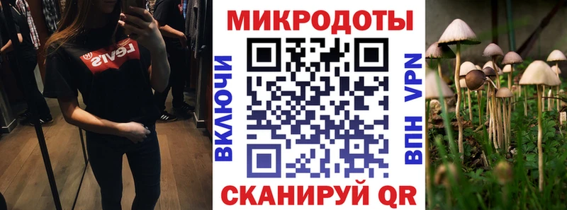 Псилоцибиновые грибы Psilocybine cubensis  Пугачёв 