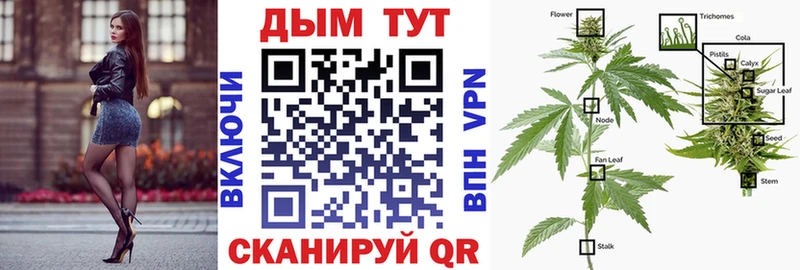Бошки марихуана Ganja Пугачёв